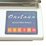 Весы МТ 30 ВДА (5/10; 230х330) "Онлайн" RS232/USB/Wi-Fi у авто